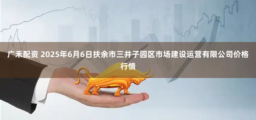 广禾配资 2025年6月6日扶余市三井子园区市场建设运营有限公司价格行情