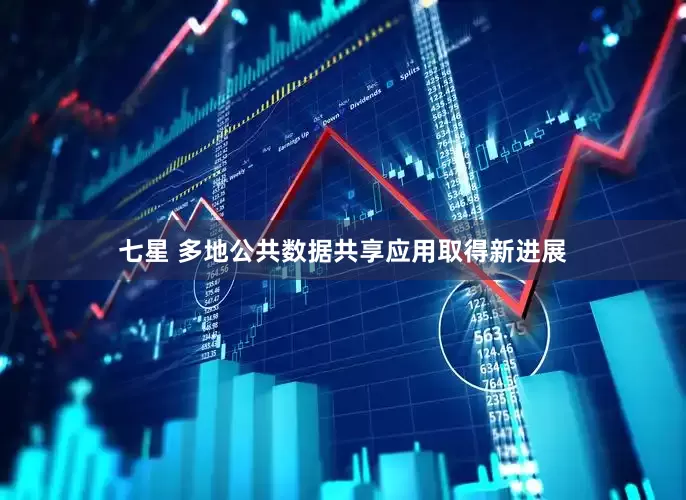 七星 多地公共数据共享应用取得新进展