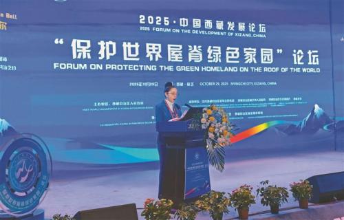 镕盛融资 世界屋脊 绿色华章